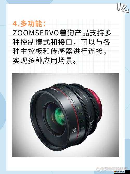 ZOOMSERVO 獸免費(fèi)的：關(guān)于其特點(diǎn)和優(yōu)勢介紹