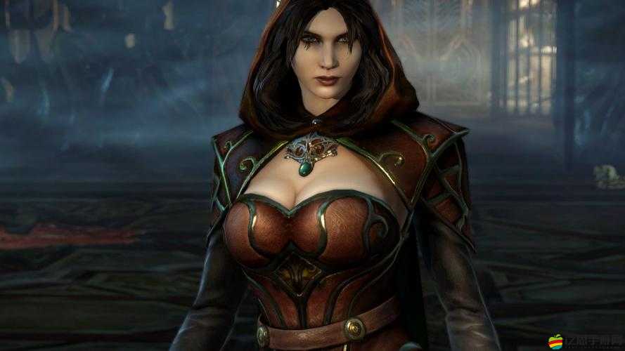 惡魔城暗影之王PC版全面操作指南與按鍵功能詳解