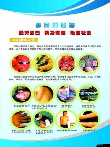 收獲日2毒品關卡攻略，掌握化學物品正確擺放策略，順利通關秘籍