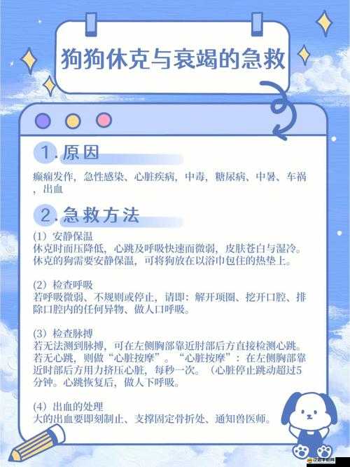 狗卡在我的那里怎么辦：緊急情況尋求有效解決辦法