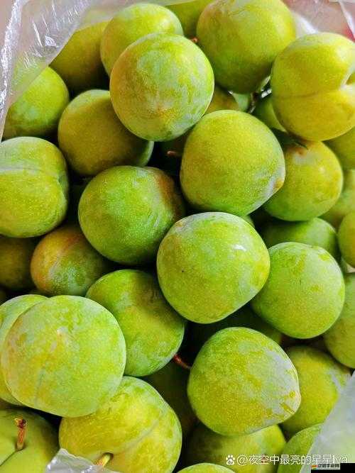 秋葵茄子絲瓜草莓榴蓮大全之各種蔬果詳細介紹與特點分析