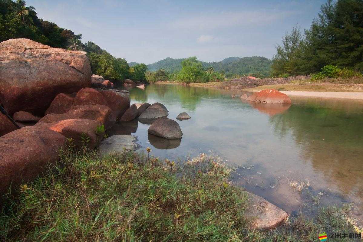 中國 XXXXXL15 仙蹤林：一個充滿神秘色彩與獨特魅力的地方