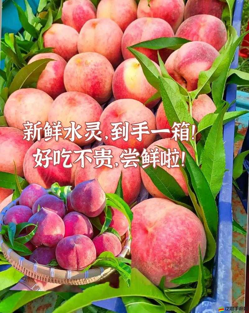 79 國精產品水蜜桃 hd：帶來極致享受的水果盛宴