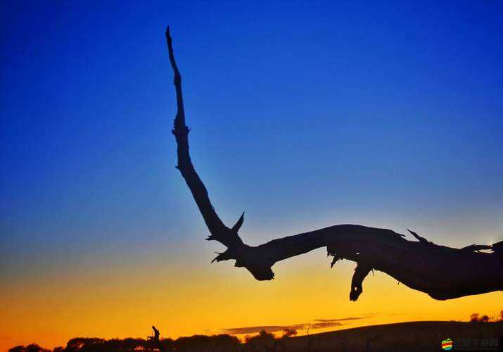 孟若羽作品觀看：一場視覺與心靈的震撼之旅