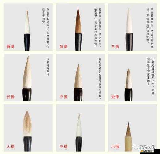 久久精品亞洲 OV 無碼毛筆的用法及使用技巧