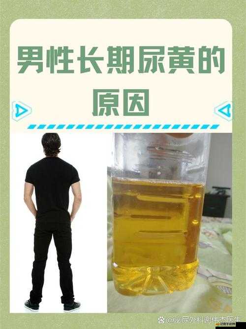 小便剛要尿出來(lái)就自動(dòng)憋回去：探究這種生理現(xiàn)象的成因及影響