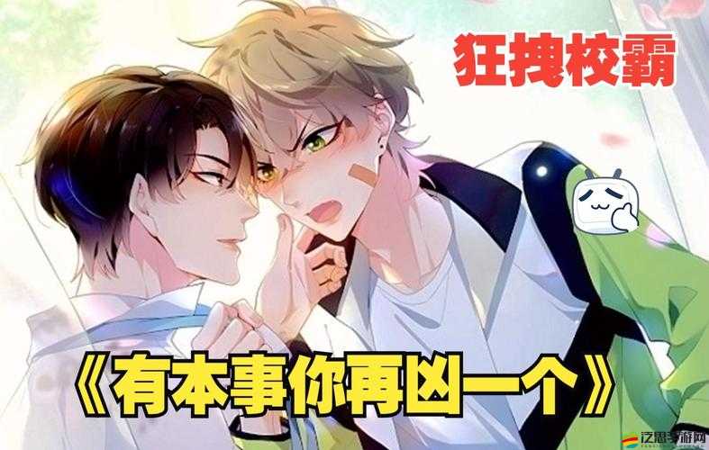 共享校霸（N）作者：一粒筍 帶你領(lǐng)略校園風(fēng)云背后的故事