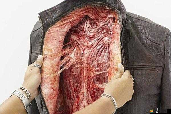 shadow web 血腥網站安全性存疑：揭開其背后的謎團