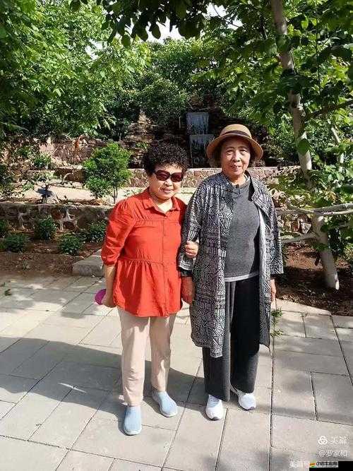 沈陽老阿姨最后的巔峰沈陽 45：傳奇人生的別樣精彩