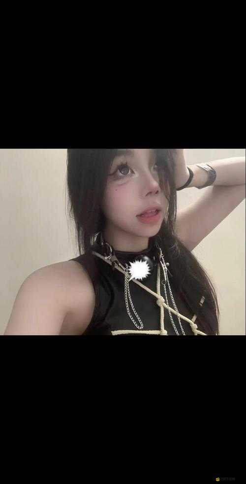 烏克蘭 XXXXXLmedjyf ：其背后的神秘面紗與未知故事探索