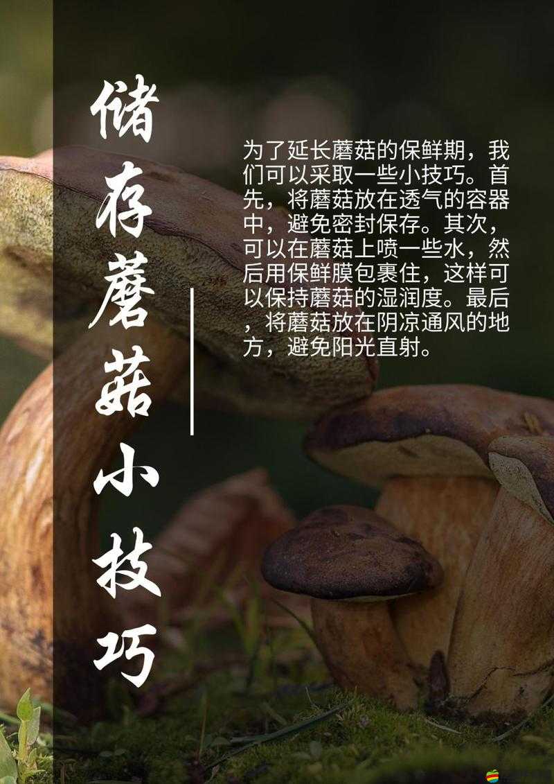 17c555 黑料蘑菇：探究其背后的故事與真相