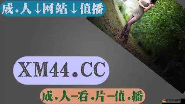 免費無人區一碼二碼亂碼區別究竟在哪