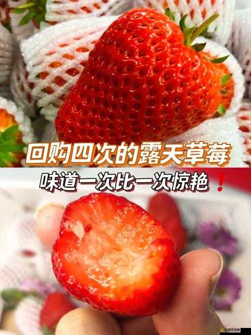 邁開腿吃草莓對男性性功能好嗎-這其中究竟有怎樣的關聯呢