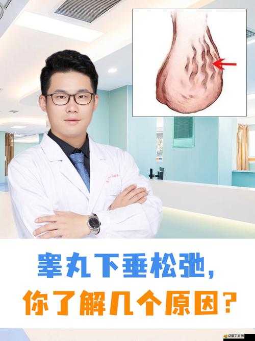 快射精時睪丸升高的生理現(xiàn)象及相關(guān)探討