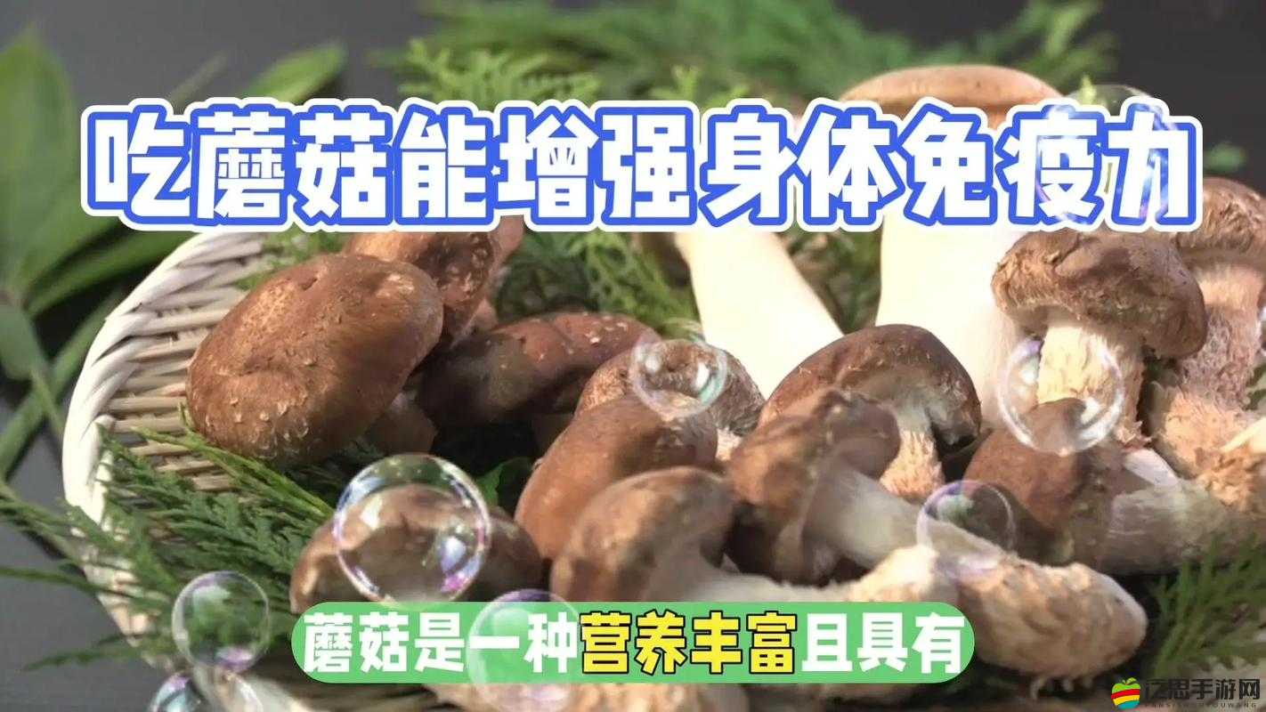 精產國品一二三產區蘑菇視頻：探索不同產區的獨特風味