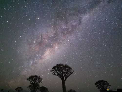 鄉村版天美麻花星空免費觀看：一場別樣的視覺盛宴