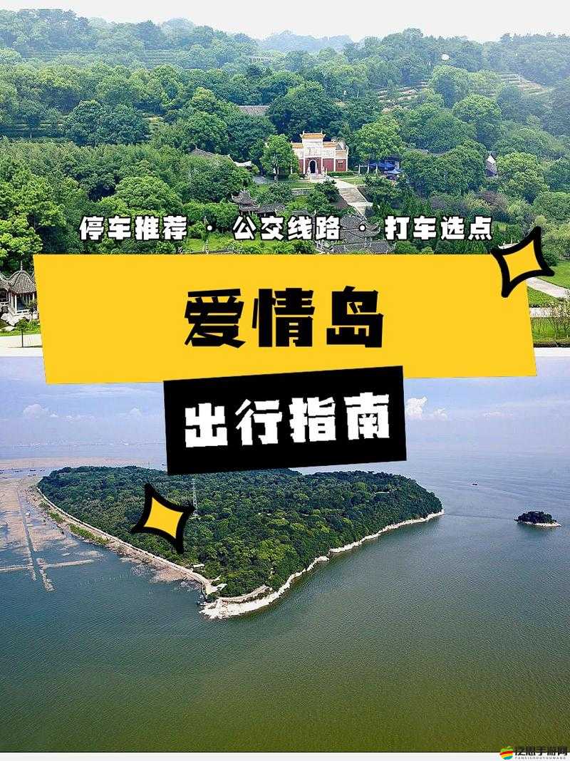 愛情島的浪漫邂逅與甜蜜愛情故事