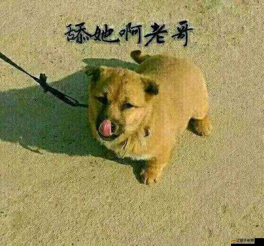 啊啊啊你 TM 別舔了這簡直讓人無法忍受啊