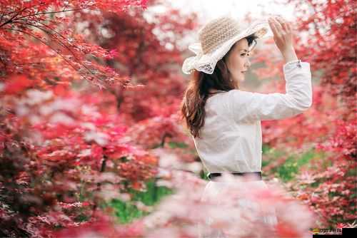 老王頭的春天：林初晴的愛情傳奇
