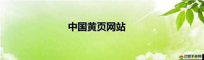 黃頁網(wǎng)站推廣效果怎么樣：深度剖析其優(yōu)勢與不足