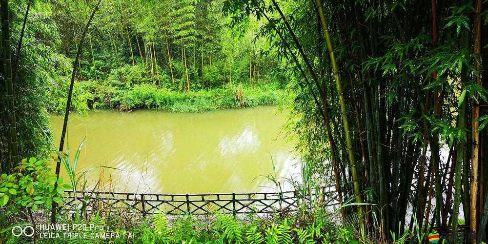 古墓麗影傳說迷蹤，勇闖萬蛇峽谷，踏上驚心動魄的寶物探尋之旅
