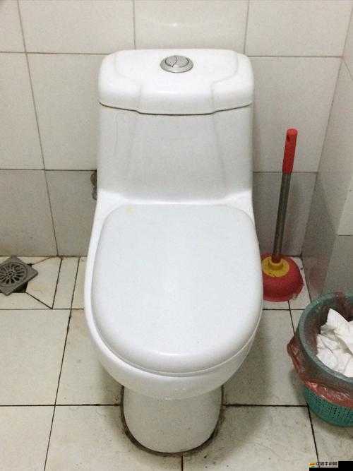 我成為了全學校坐便器這到底是怎么回事呀