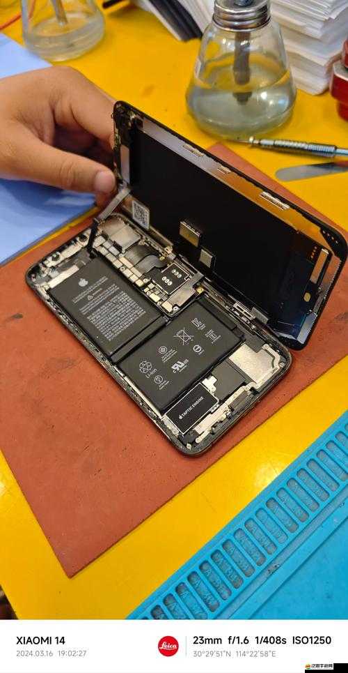 IPHONEXSMAX 歐美高級終究加入免費陣營啦