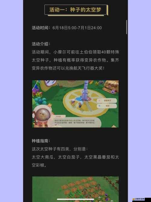 摩爾莊園土地節(jié)全面解析，分享任務高效完成攻略指南
