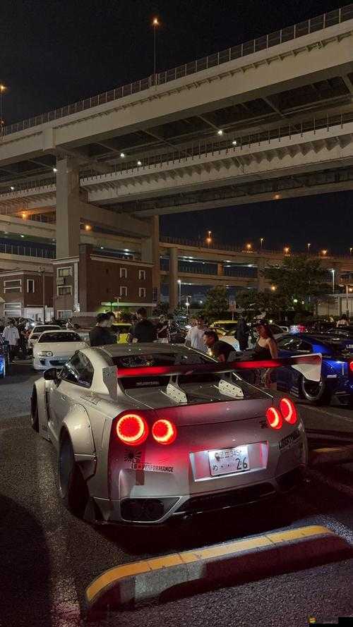 日產亂碼區別免費必看：深度剖析其背后的神秘面紗及價值所在