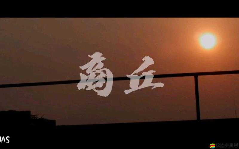 日本三線與韓國三線的獨特魅力與文化碰撞