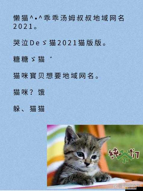 tom 最新地域網(wǎng)名入口在哪里找以及相關(guān)問題解答
