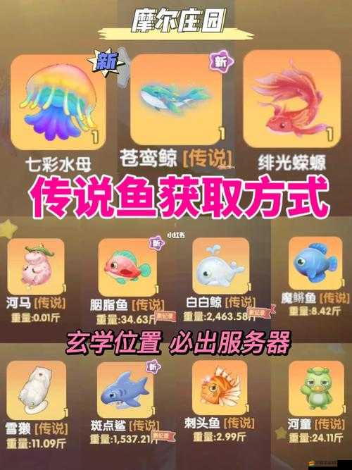 摩爾莊園手游全面攻略，掌握彩翅魚垂釣技巧，輕松收獲稀有魚類