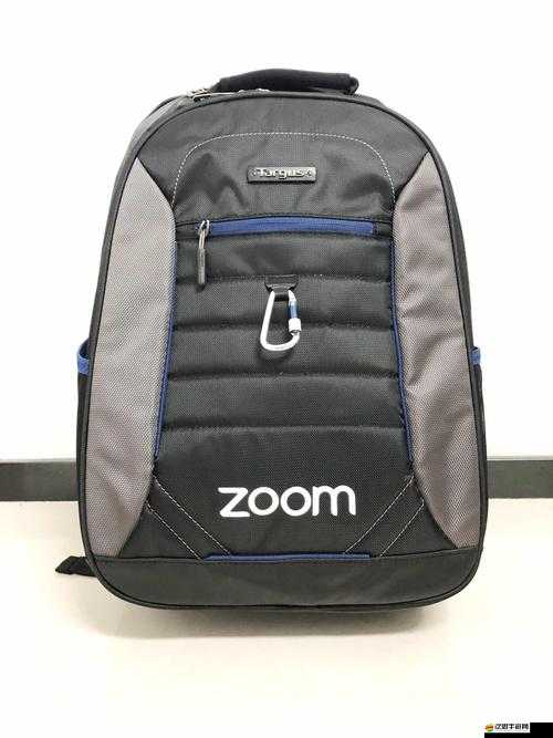 Zoom 與牛 ZOOm 的奇妙聯動及新發展趨勢探討