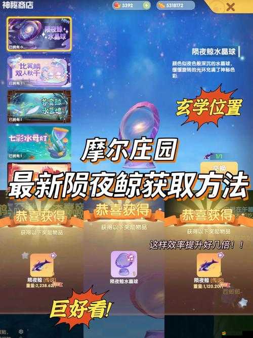 摩爾莊園游戲中神秘商人出現位置及尋找方法詳細介紹
