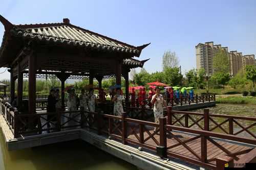 以色喲喲在線播放資源精彩呈現(xiàn)不容錯過