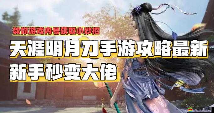 天涯明月刀手游深度解析，英雄級副本高效通關策略與技巧指南