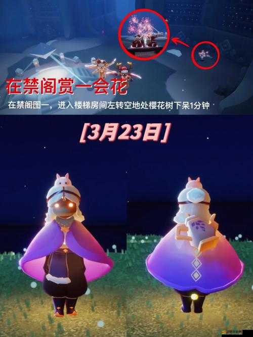 光遇游戲深度探索，秘密花園冥想任務(wù)全解析與攻略指南