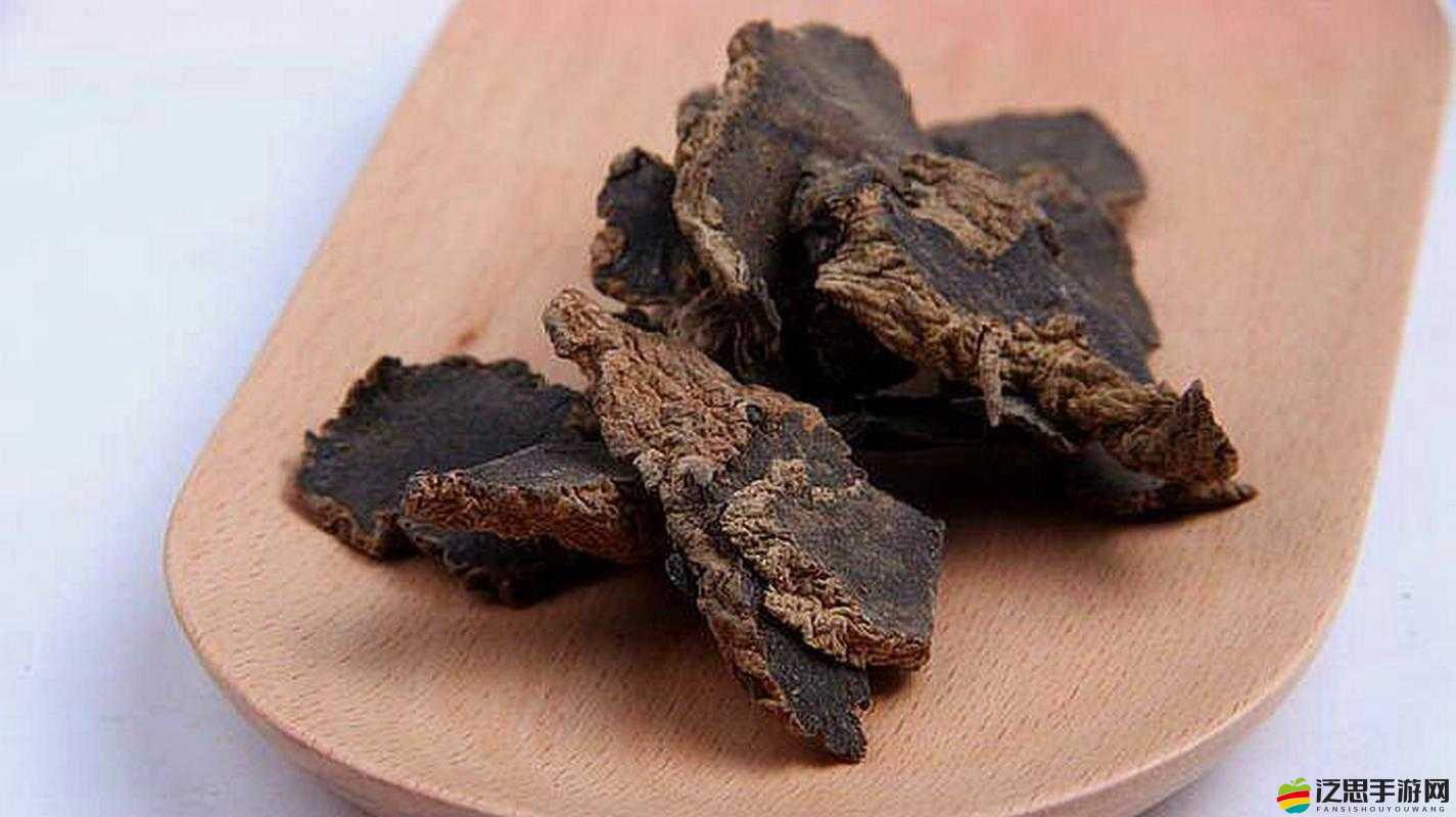 煙雨江湖之旅，深入探尋玄參的奧秘，揭秘其令人驚嘆的神奇功效