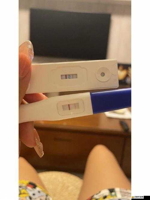 孕中孕皇上堵著要生產的肚子即將臨盆眾人緊張等待