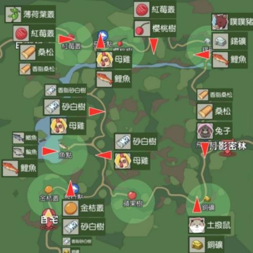 小森生活鯉魚王捕捉攻略，朝暉森林水域位置及釣法技巧詳解