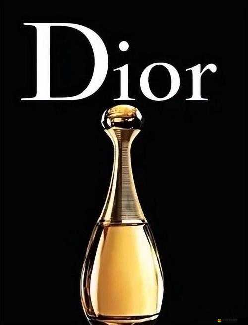 Dior 是什么牌子？時尚界的奢華傳奇