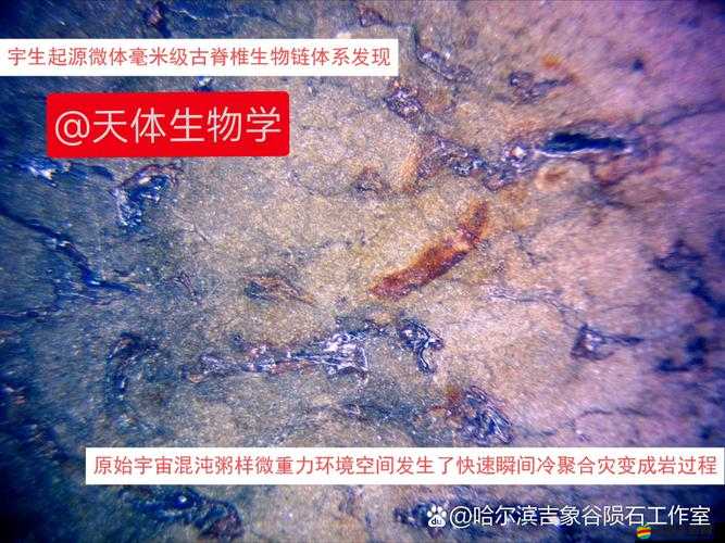 9c1e7.3cm：探索宇宙的奧秘