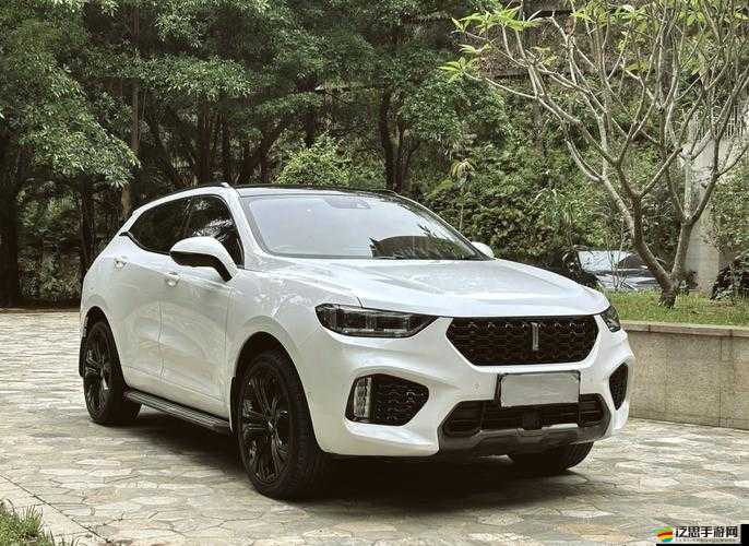 Wey VV5 國產的 SUV ：暢享舒適駕乘體驗的品質之選