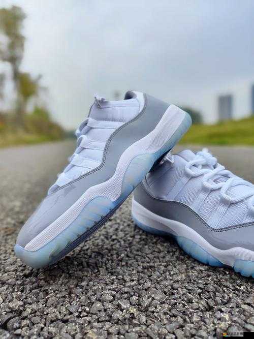 宿舍 AJ11 飛機(jī)：鞋中貴族，彰顯個(gè)性與品味