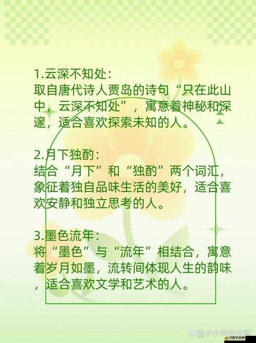 8x8x.io 最新地域網名是什么：探索未知的網絡世界