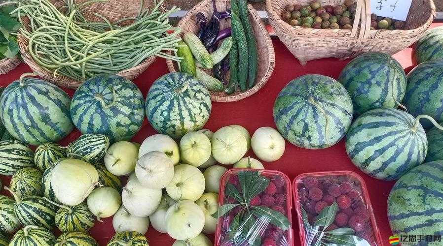 xzl老狼仙大豆行情免費開放：開啟農產品行情資訊新時代