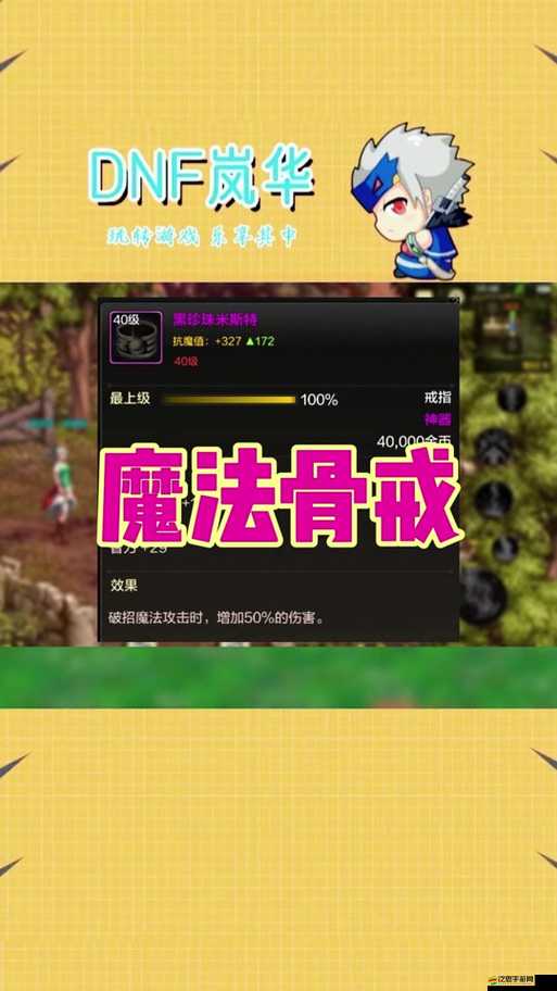 黑珍珠米斯特的奇妙冒險