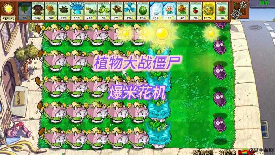 四葉草劇場頂尖陣容揭秘，深入剖析最強組合搭配策略與奧秘