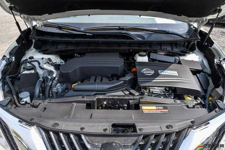 成長日產免費線路一二三四區別：關于其具體內容和特點的詳細分析