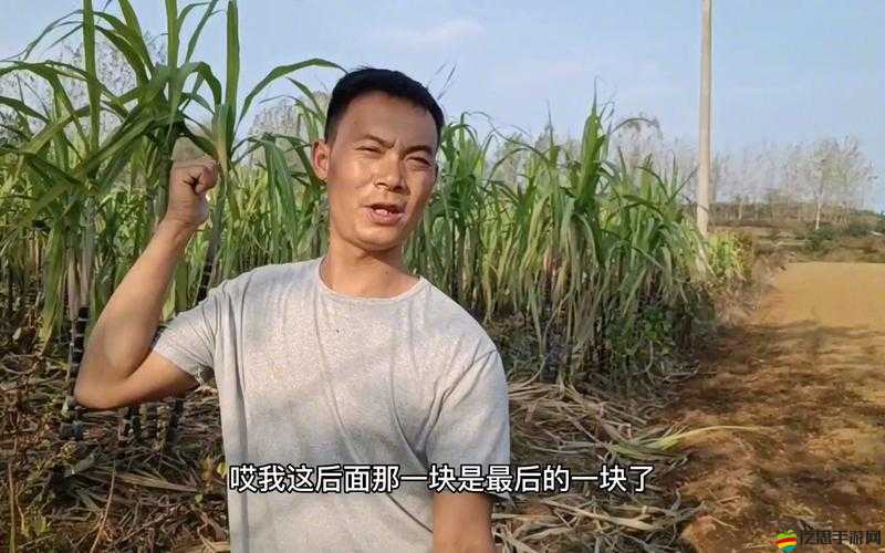 探索視頻科技：從剛開始拒絕到逐步慢慢接受